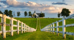 Drömmen om en gård!