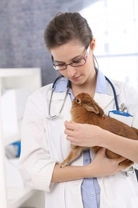 Conjunctivitis in Rabbits: Signs, Causes & Treatment Guide