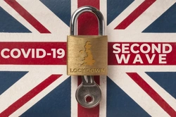 2025 UK Lockdown 2 Pet Care Guide: Walking, Vets & Adoption