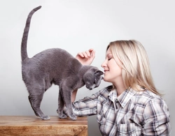 6 Signs You Might Be a Crazy Cat Lady in 2025