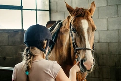 10 Essential Money-Saving Tips for Competing with Your Horse