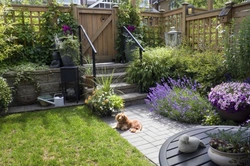 How dog thefts from gardens take place