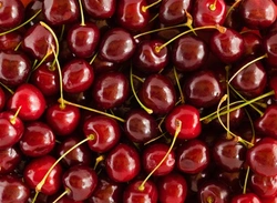 Pitten van kersen giftig voor honden