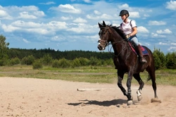 Returning to Horse Riding as an Adult: A Practical Guide