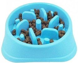 Mi perro come muy rápido ¿Cómo puedo evitarlo?