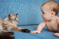 Introducing Your New Baby to Your Cat: Gentle Steps for Harmony