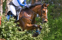 British Eventing in 2025: A First-Timer’s Guide to Eventing