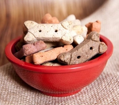 Tips for Safe Home Cooking for Dogs: Balanced Nutrition Guide
