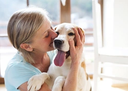 April National Pet Month UK: Celebrate & Care Responsibly