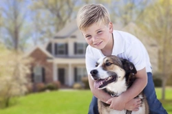 How to Ensure Your Child Behaves Appropriately Towards Your Dog