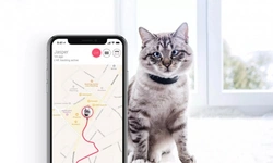 Are GPS pet trackers worth the money? Benefits and drawbacks