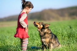 How to speak to your dog: 5 essential tips