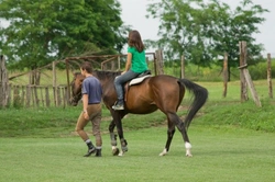 Choosing a Horse Riding School: A Guide for Novice Riders
