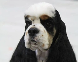 CAMPIONESSA DEL MONDO !!!!