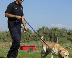 Il cane da lavoro, insostituibile compagno