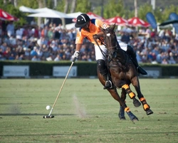 Introduction to Polo: A Beginner's Guide