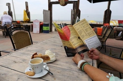 Losloopgebied: Hondenstrand in IJmuiden