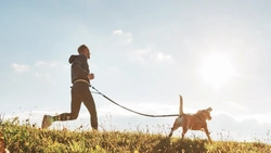 Running with your dog