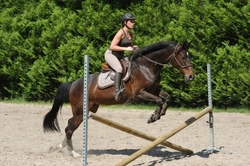 Exercises to Improve Your Riding Balance & Fitness