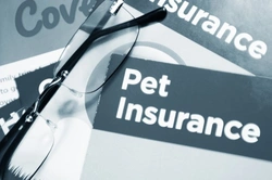 7 Tips to Find the Best Pet Insurance Deals in 2025