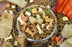 Choosing the Right Feeding Style for Cats and Dogs