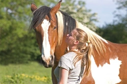 A Complete Guide to Natural Horsemanship Techniques and Benefits
