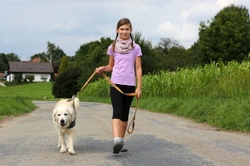 Training your dog to walk to heel: Step-by-step guide