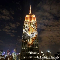 Abril, mes en contra del maltrato animal