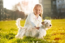 Pets & Autistic Children: How Animals Support Development