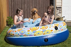 Summer Safety Tips for Your Dog and Paddling Pool