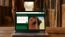 Så lyckas du med din hästannons