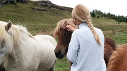 Viktiga juridiska aspekter för stallägare och hästentreprenörer