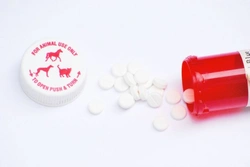 Pet Health and Antibiotics: Essential Guide for Owners