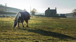 Top Tips for Looking After Your Horse Through Winter