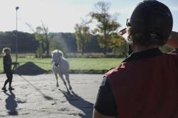 Ansträngt läge för Distriktsveterinärerna i sommar – tillsammans hjälps vi åt!
