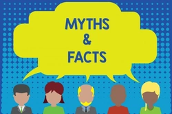 Five myths dogs from rehoming centres that can discourage potential adoptions