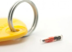 Complete UK Guide to Microchipping Your Pet in 2025