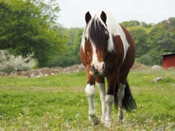 Vad är fång och hur undviker du det?