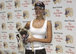 Does Dog Breed Reflect Their Owner’s Personality?