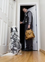 Teaching Dogs Good Door Etiquette: Step-by-Step Guide