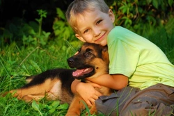 Choosing Your Child’s First Pet: Top Family-Friendly Picks