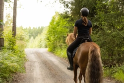 Islandshäst =Tuff och tålig? 