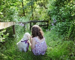 Immagini di cuccioli di cane: le foto delle migliori razze di cane