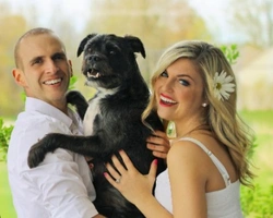 Pet Therapy: quali requisiti deve avere il cane?