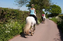 Top Safety Tips for Riding Your Pony on Roads