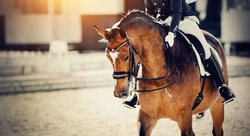 Planering inför kommande tävlingssäsong