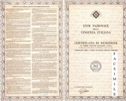 Il pedigree - documento genealogico del cane di razza