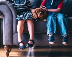 Avere un cane allunga la vita: dalla Pet Therapy alle semplici carezze