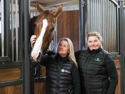 Se över säkerheten i stallet för din och hästarnas skull