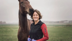 Sårskada på häst - En checklista